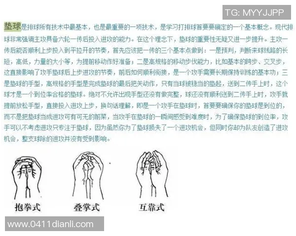从零开始掌握排球技巧与策略全解析助你成为排球高手